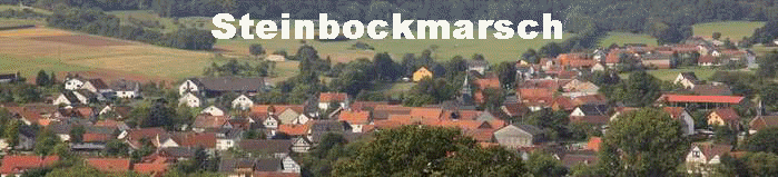 Steinbockmarsch